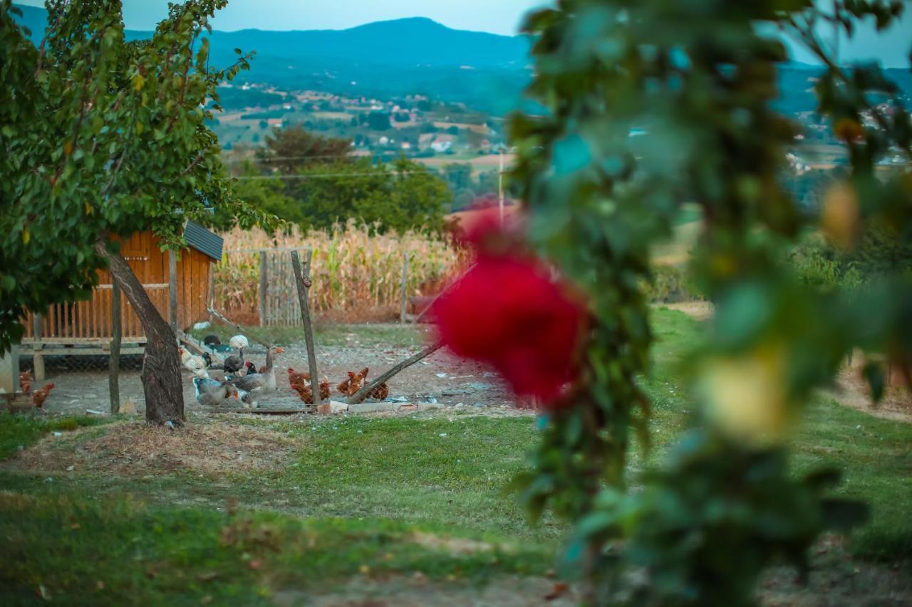 Villa Seosko Turisticko Domacinstvo Radivojevic à Čačak Extérieur photo