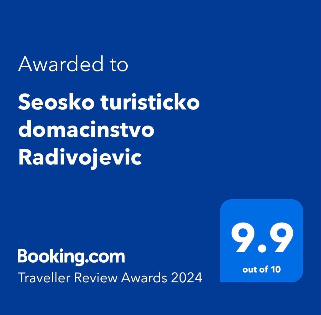 Villa Seosko Turisticko Domacinstvo Radivojevic à Čačak Extérieur photo